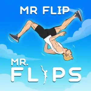 Mr Flip